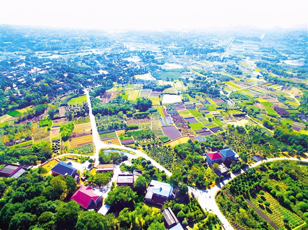 雨花区是哪个省哪个市(湖南雨花区属于哪个市)