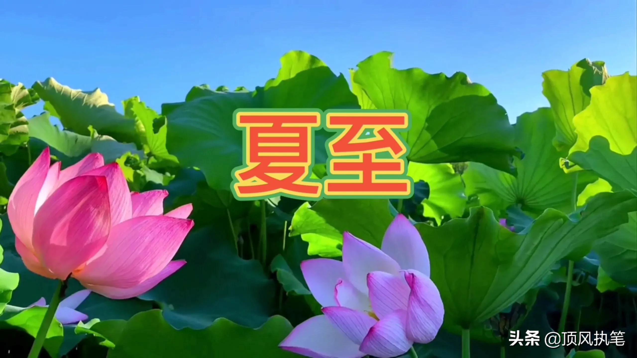 夏天的第二个节气是什么(夏天的节气有哪些)