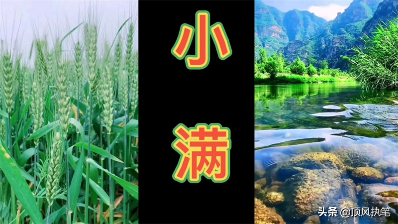 夏天的第二个节气是什么(夏天的节气有哪些)