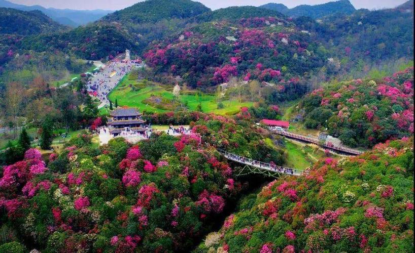 第一天：安顺百里杜鹃风景区