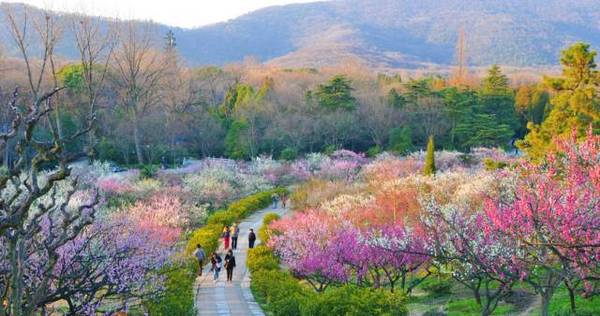 1、梅山景区