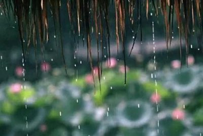 ​浙江梅雨季节是几月份(浙江梅雨季节是什么时间)