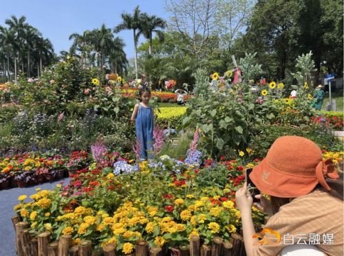 浜戝彴鑺卞洯鏀荤暐澶у叏(浜戝彴鑺卞洯鏀荤暐璺嚎)-绗?寮犲浘鐗?