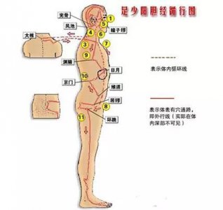 ​跟我学中医 - 足少阳胆经行循路线及图解