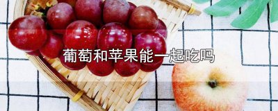 ​葡萄和苹果能一起吃吗? 葡萄和苹果能一起吃吗宝宝