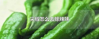 ​怎么可以去除辣椒的辣味 怎样去除尖椒辣味儿