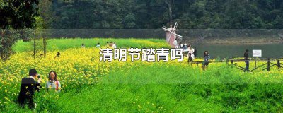 ​清明节是踏青吗 清明节能去踏青吗为什么