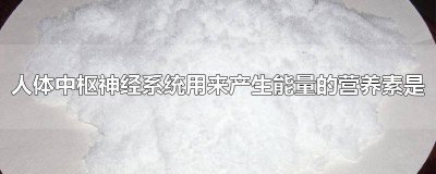 ​人体中枢神经系统产生能量的营养素 中枢神经系统利用的能量来自于什么?