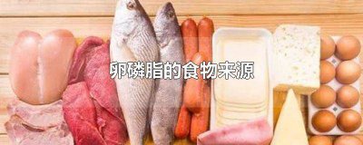 ​什么是卵磷脂的食物 具有卵磷脂的食物