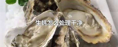 ​生蚝怎么处理干净视频生蚝的吃法 冻生蚝怎么处理干净