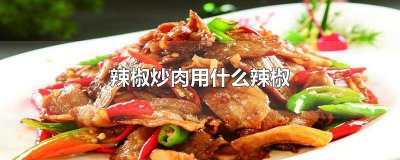 ​湖南辣椒炒肉的做法 最正宗的做法 湖南辣椒炒肉怎么炒好吃