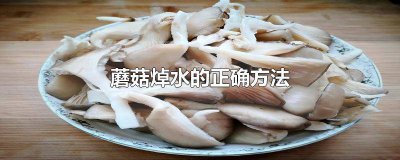 ​为什么炒蘑菇要焯水 蘑菇要焯水多久才可以炒