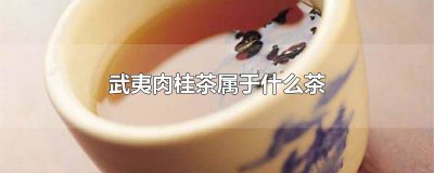 ​武夷肉桂茶属于什么茶系列 正语武夷肉桂茶属于什么茶