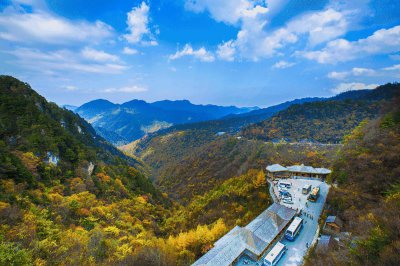 ​湖北神农架旅游景点介绍（玩转神农架必去5个景点）