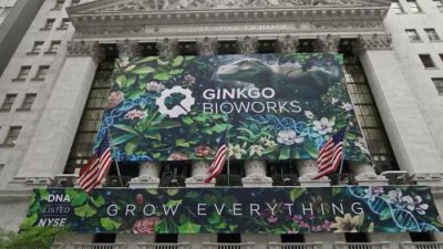 ​合成生物平台Ginkgo Bioworks宣布收购细胞和基因治疗公司Circularis，以增强环