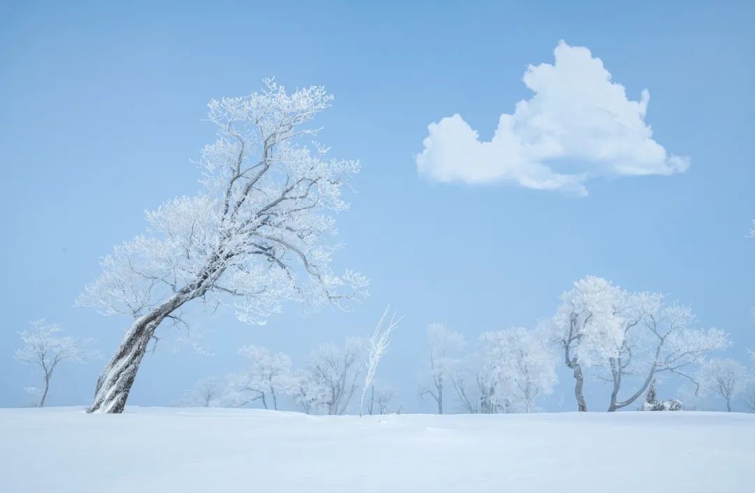 形容冬雪美丽的诗句（描写冬雪的诗句大全）(图7)