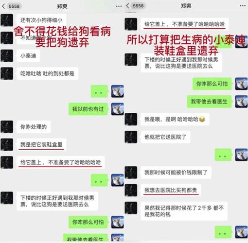 郑爽录音完整版，郑爽事件怎么回事(央视回应郑爽事件录音)