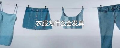 ​衣服为什么会发臭