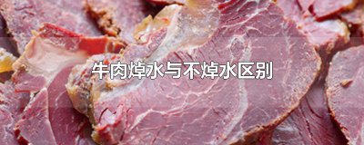 ​牛肉焯水与不焯水区别