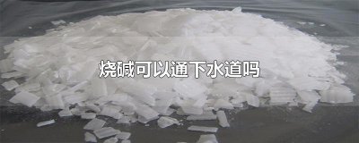 ​烧碱可以通下水道吗