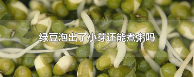 ​绿豆泡出了小芽还能煮粥吗