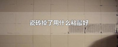 ​瓷砖掉了用什么粘最好