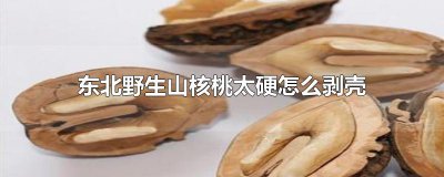 ​东北野生山核桃太硬怎么剥壳