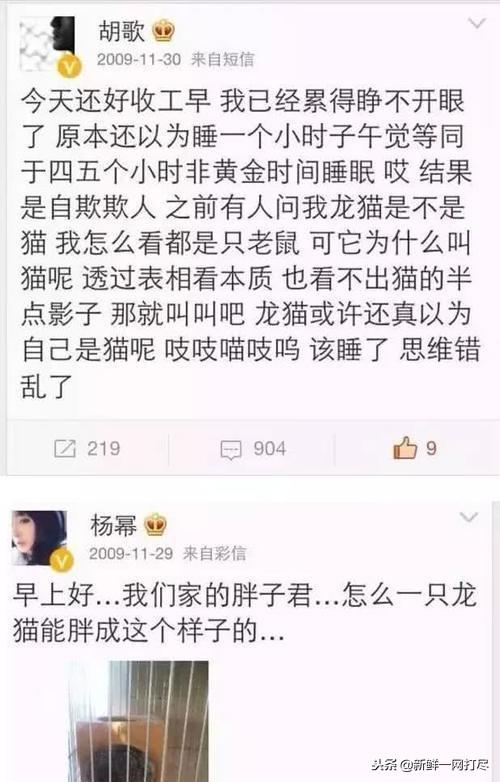 杨幂刘恺威离婚真实经历（杨幂刘恺威官宣已离婚）(7)