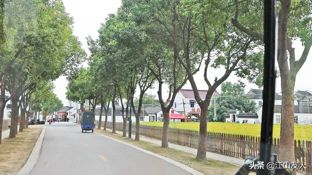 阳澄湖吃大闸蟹旅游攻略（阳澄湖莲花岛品鲜大闸蟹之旅）(7)