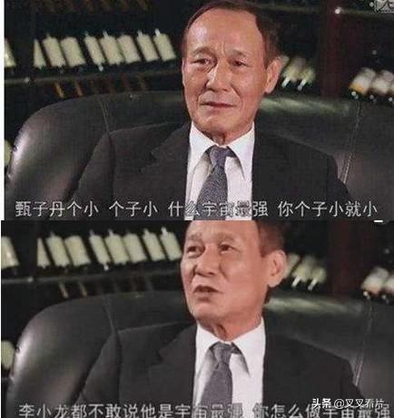 李连杰甄子丹功夫之路（从醉拳到叶问成龙）(12)