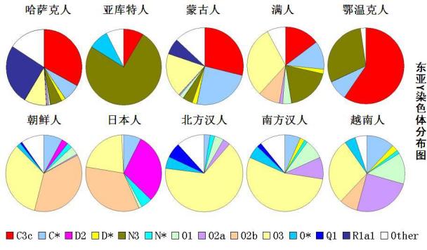 黄种人优势与缺点（黄种人的三大分支情况如何）(3)