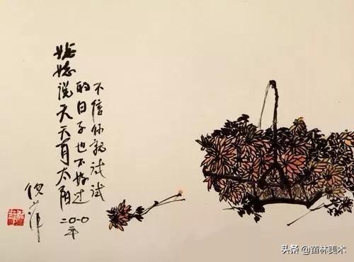 倪萍画画作品（倪萍50岁学画画1000幅）(31)