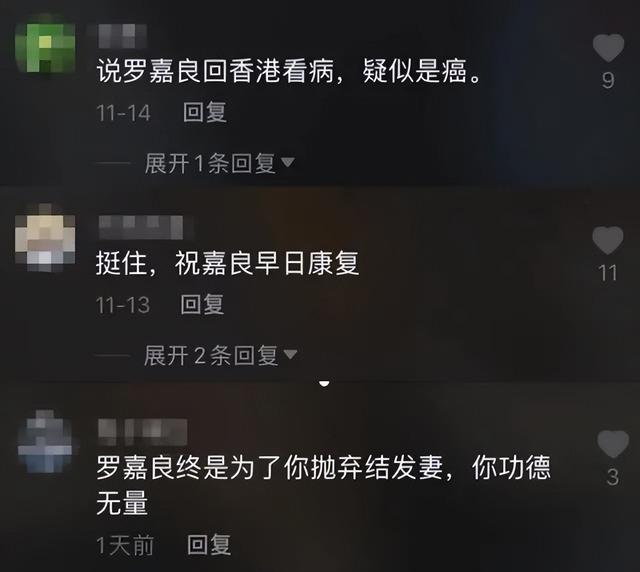 罗嘉良苏岩恋爱经过（演员苏岩嫁大12岁罗嘉良）(23)