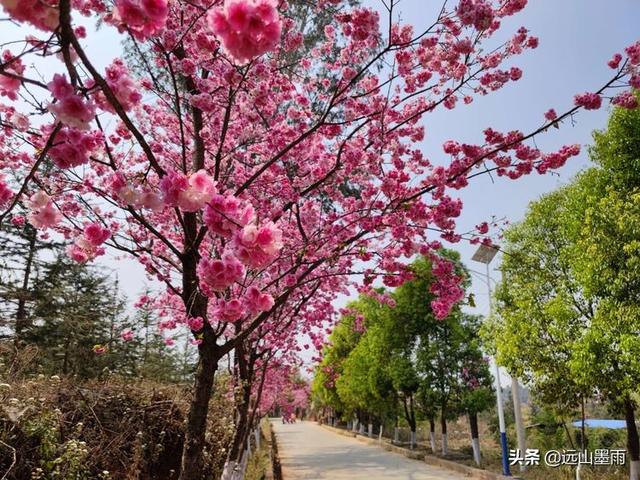 昆明户外营地有哪些景点（昆明走进自然户外）(27)