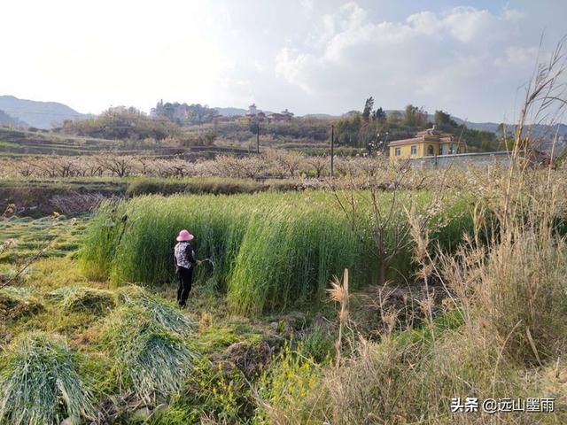 昆明户外营地有哪些景点（昆明走进自然户外）(22)