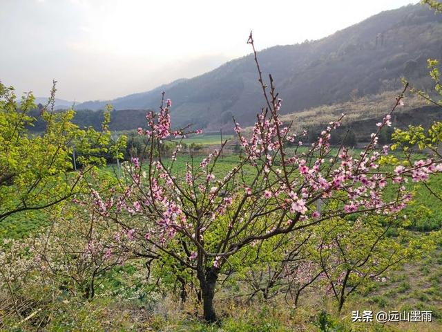 昆明户外营地有哪些景点（昆明走进自然户外）(29)