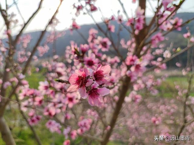 昆明户外营地有哪些景点（昆明走进自然户外）(25)