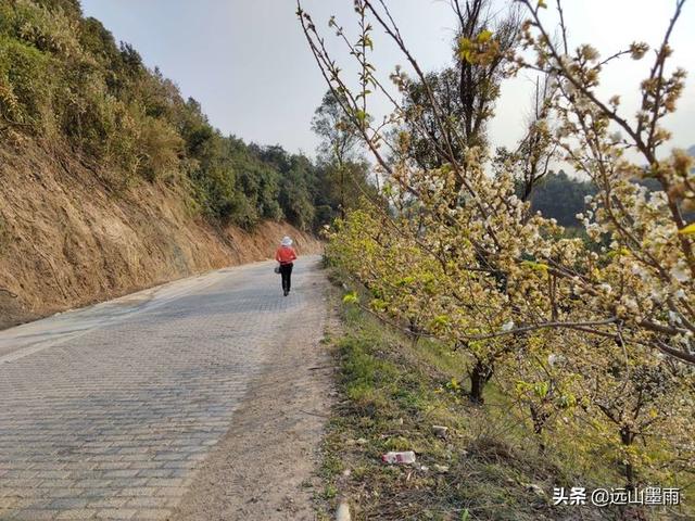 昆明户外营地有哪些景点（昆明走进自然户外）(28)