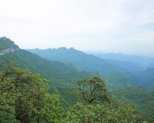 重庆金佛山两日游攻略（玩转重庆金佛山）(9)