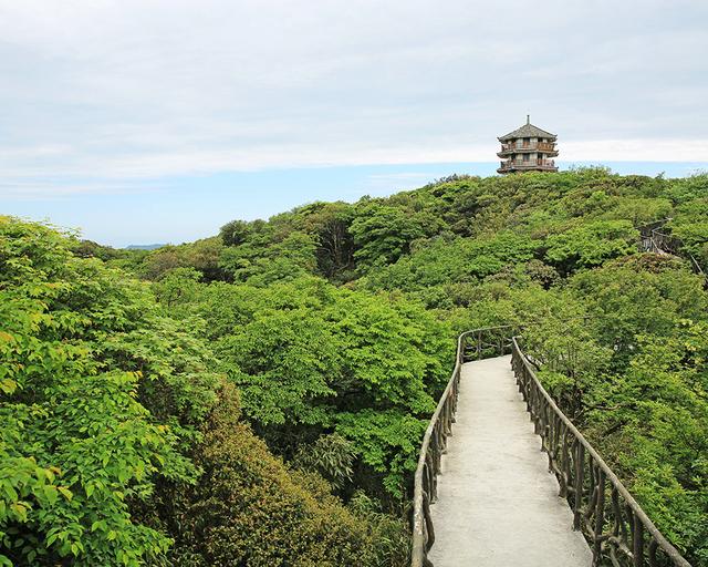 重庆金佛山两日游攻略（玩转重庆金佛山）(5)