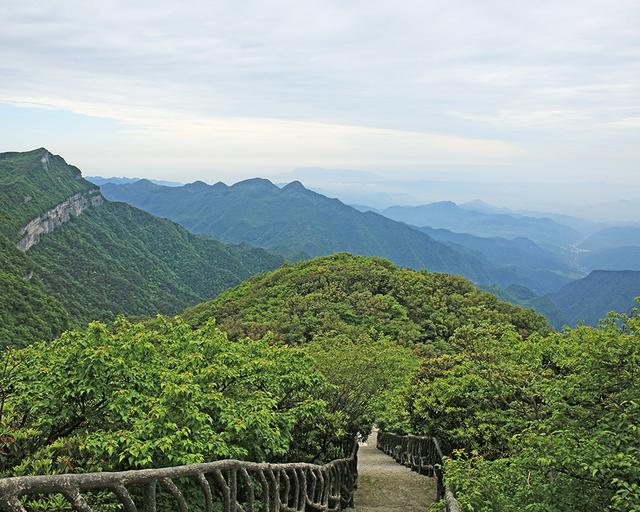 重庆金佛山两日游攻略（玩转重庆金佛山）(7)