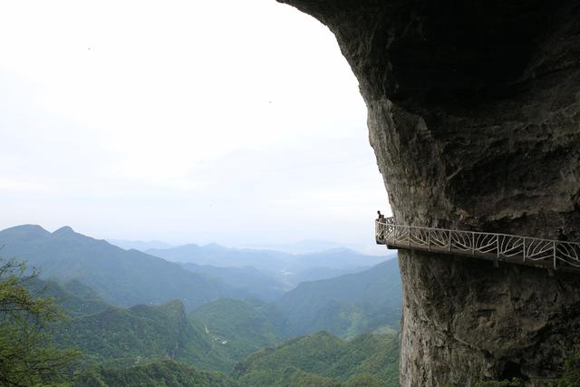 重庆金佛山两日游攻略（玩转重庆金佛山）(10)