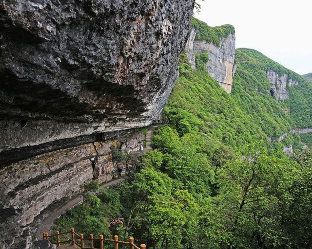 重庆金佛山两日游攻略（玩转重庆金佛山）(12)