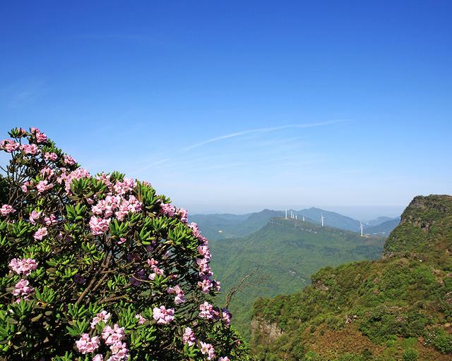 重庆金佛山两日游攻略（玩转重庆金佛山）(16)