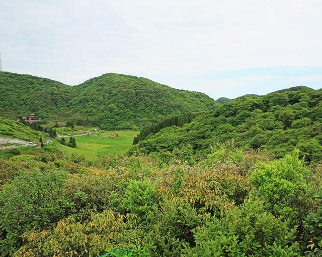 重庆金佛山两日游攻略（玩转重庆金佛山）(14)