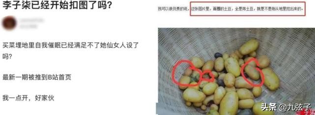 从“央视夸赞”到“网友大骂”，李子柒都经历了什么？