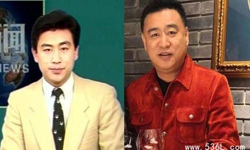 张宏民个人资料简介及感情史 为什么至今单身有喜欢的人吗