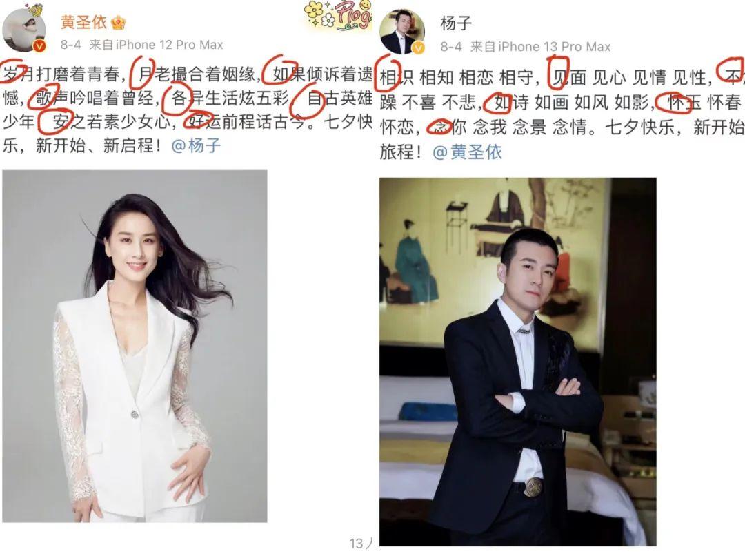 杨子个人资料简介及家世（黄圣依 杨子：婚姻“合伙人”）