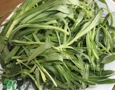 面条菜怎么吃好吃?面条菜怎么做好吃?