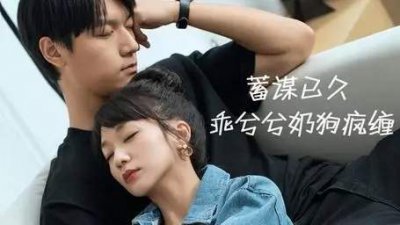 ​蓄谋已久乖兮兮奶狗疯缠女主是谁，剧情介绍